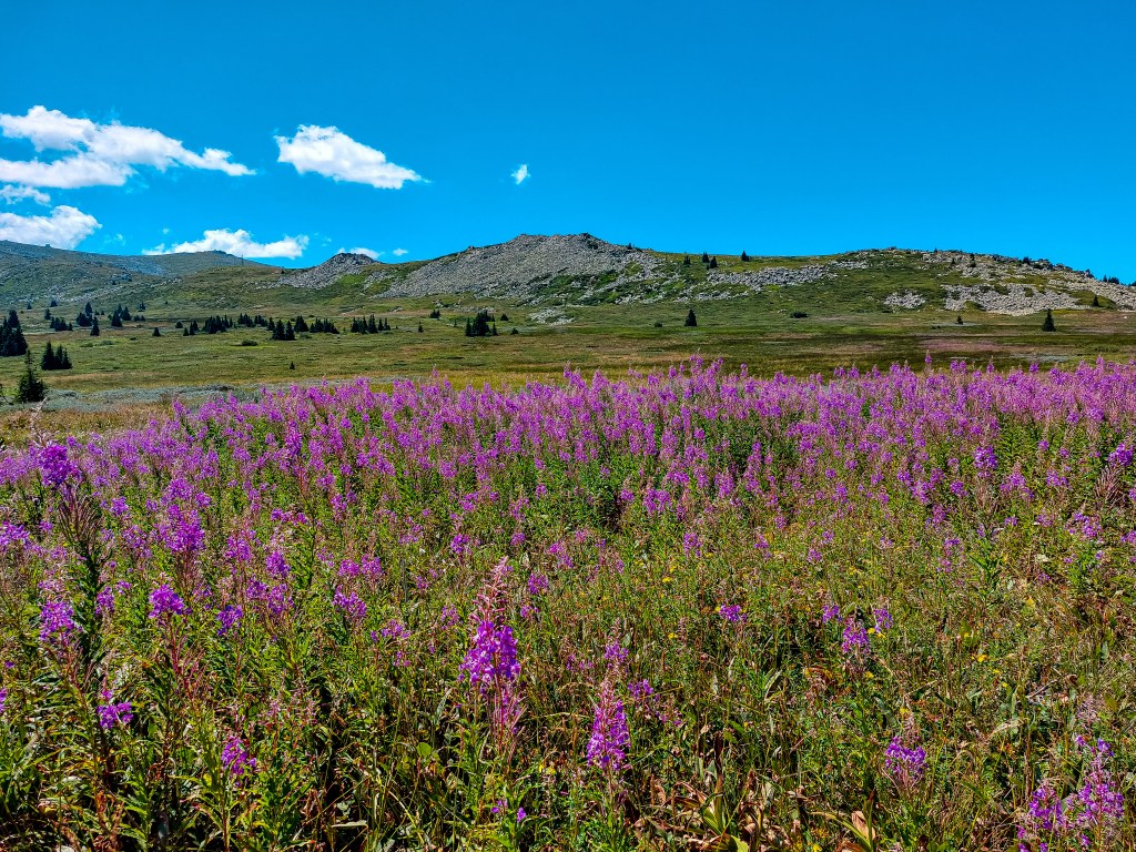 Витоша - красиви гледки