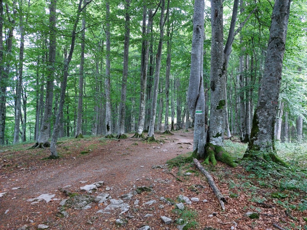 връх Ботев (2376 м) от хижа Плевен