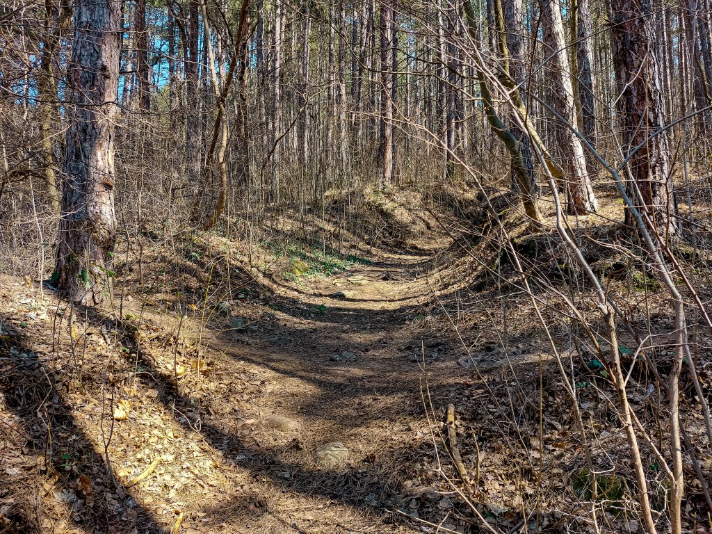 Гледката над Панчарево - как се стига