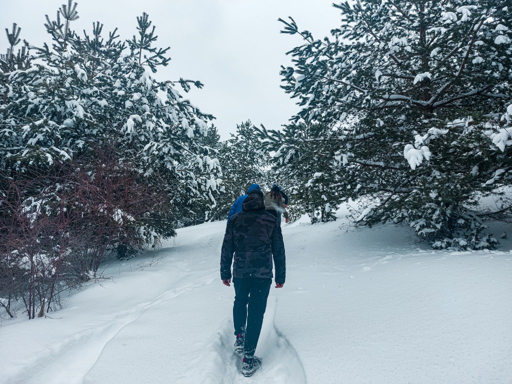 Зимна разходка до Бекови скали