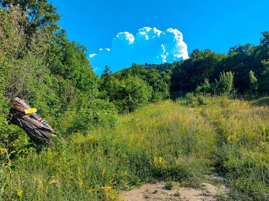 Връх Любаш - маршрути - село Лялинци