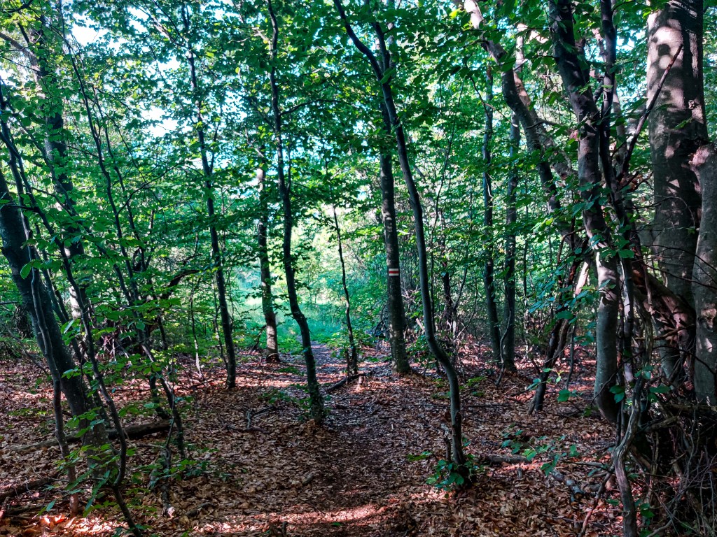 От Лялинци до Любаш