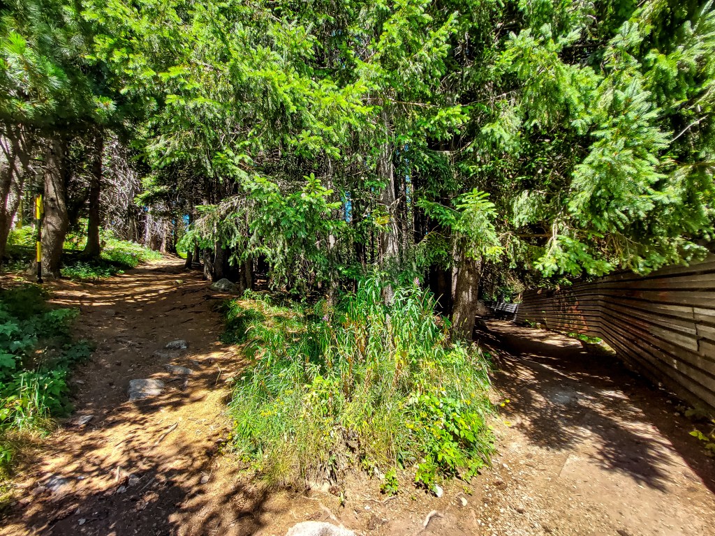 От хижа Алеко до връх Ушите