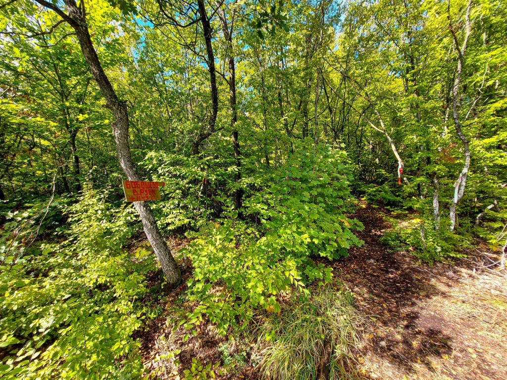 Връх Бобошевски Руен - пещерата и Кръста