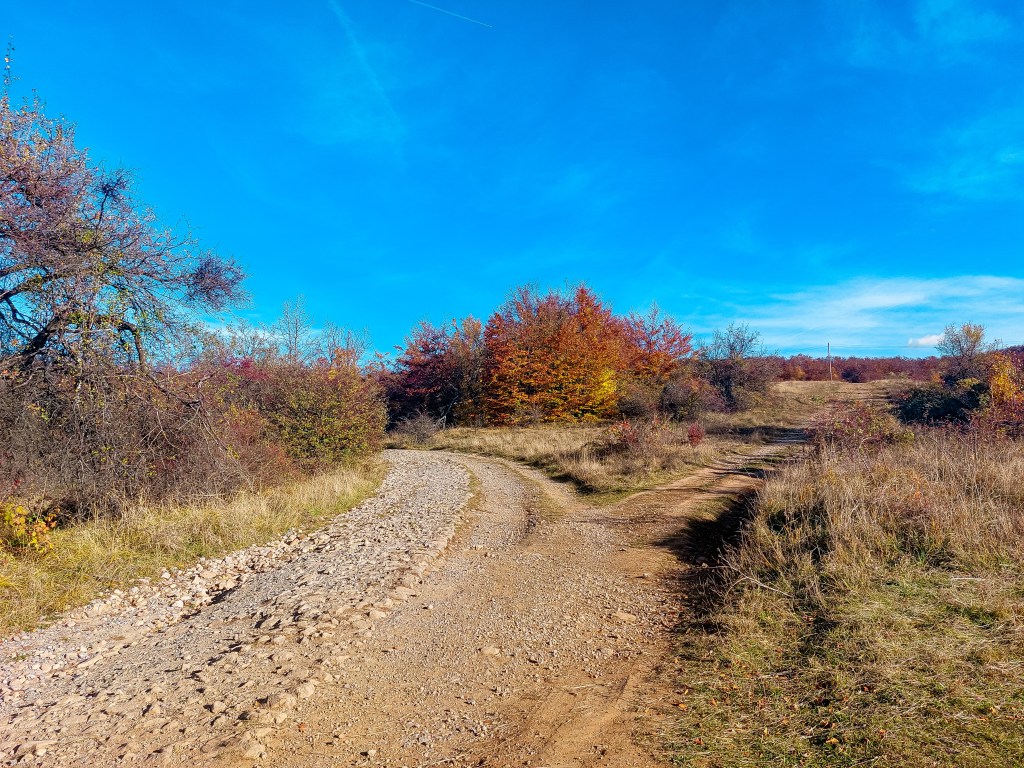 Разходка до хижа Тръстеная, Лакатник