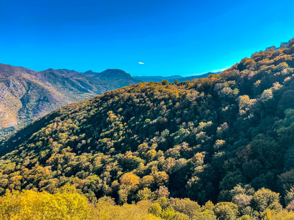 Гложенски манастир, Стара планина, Гложене 