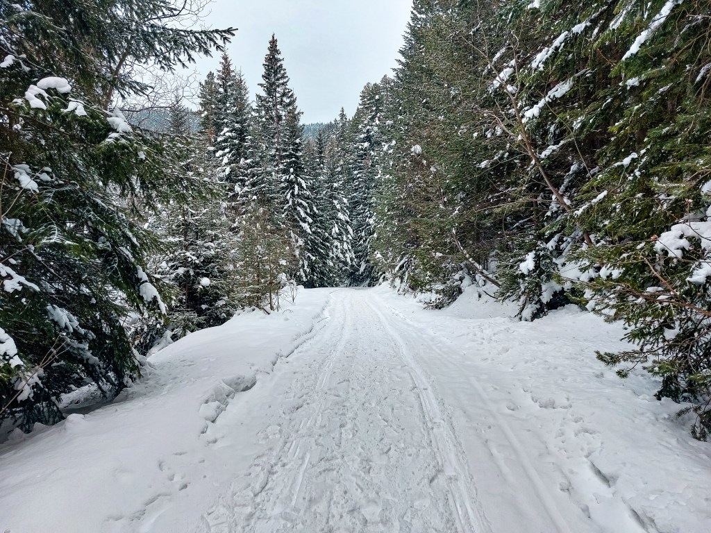 От лифт Рилски езера до хижа Ловна през зимата