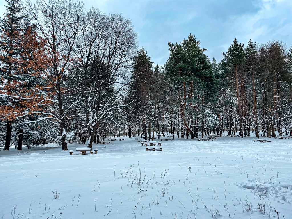 Парк Камбаните маршрути и транспорт, паркинг