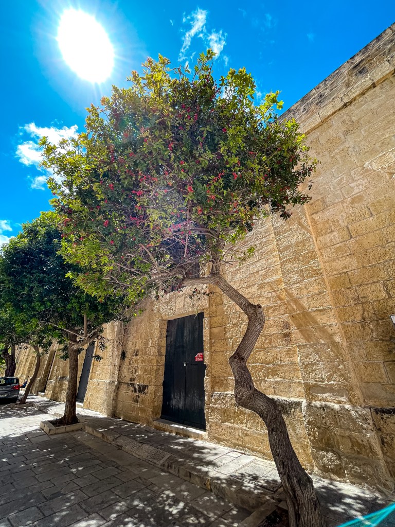 Разходка из Мдина - "тихият град" на Малта - забележителности и ресторанти