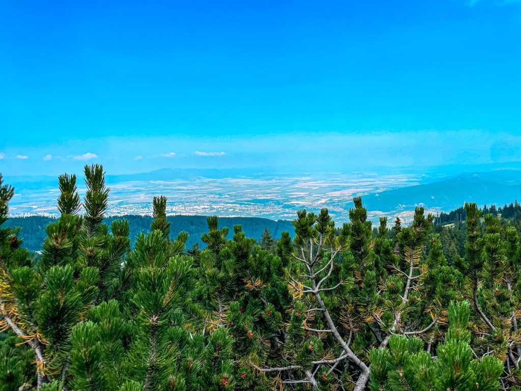 Изкачване на Черни връх от хижа Алеко (кръгов маршрут)