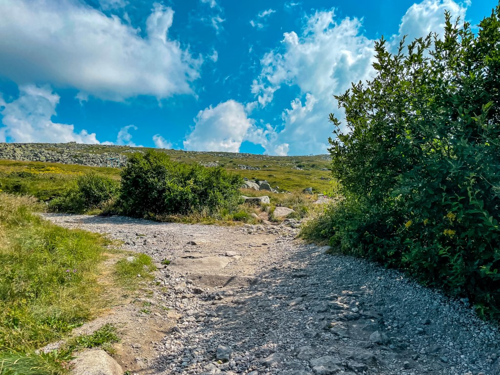 Изкачване на Черни връх от хижа Алеко (кръгов маршрут)