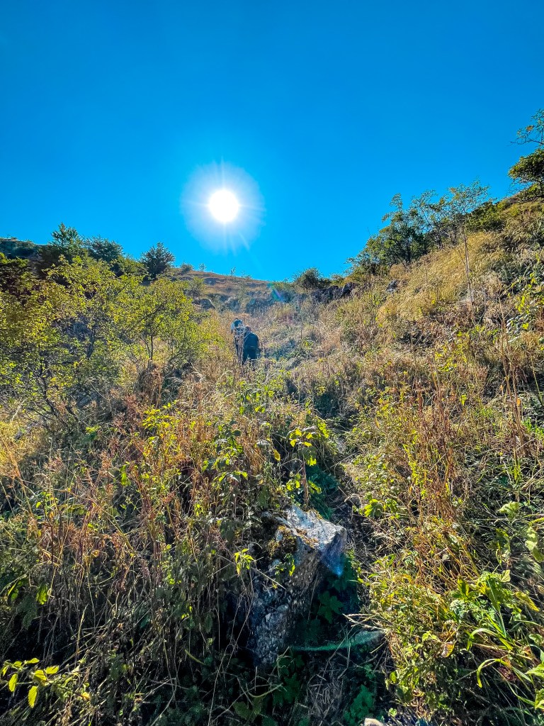 Скален феномен Столо в Понор планина