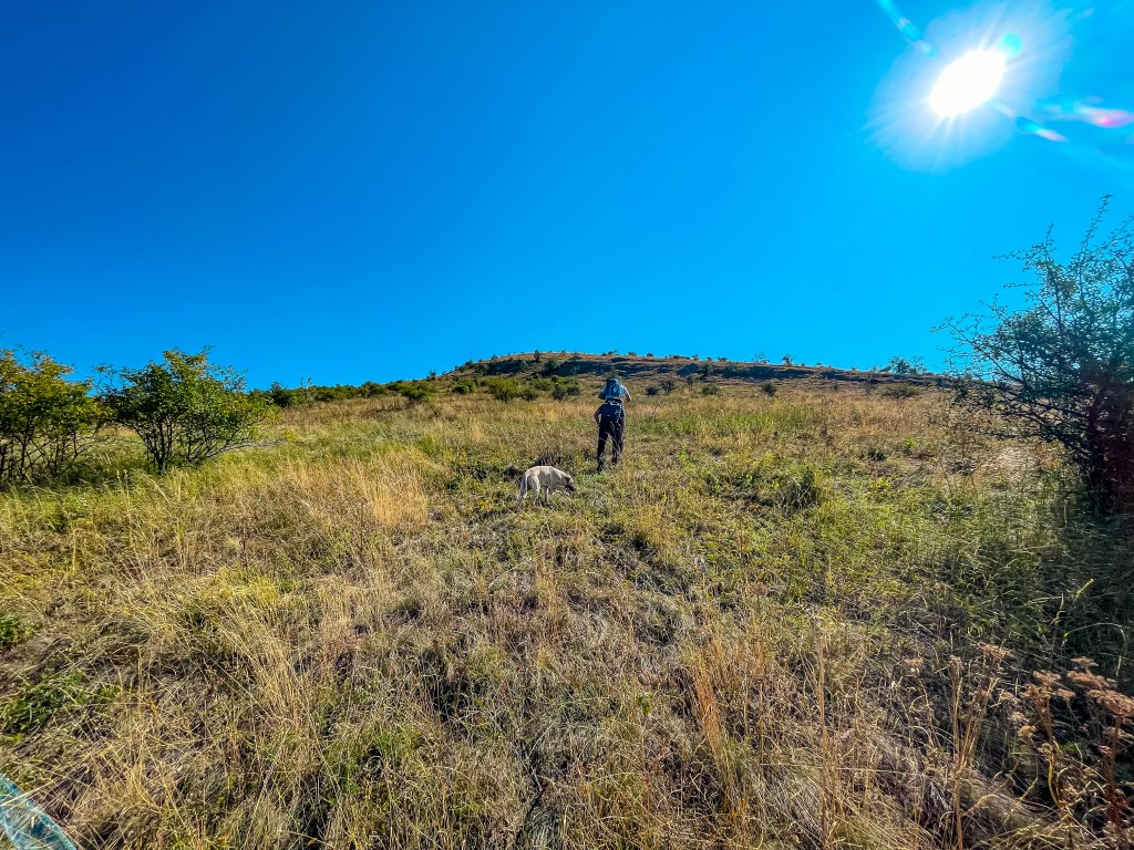 Връх Препасница в Понор планина - маркировка