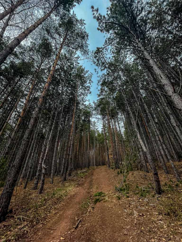 Eкопътека "Пейката с платформата" край село Годеч