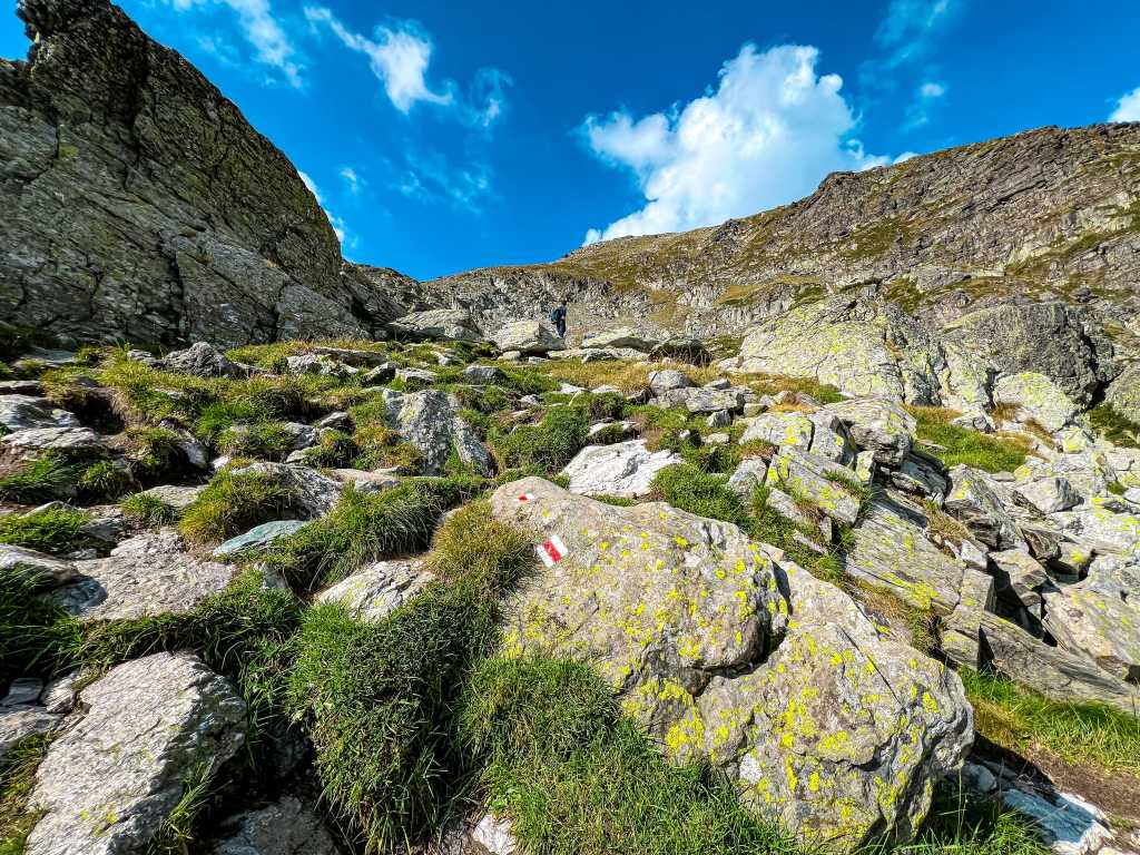 ЦПШ Мальовица до връх Мальовица