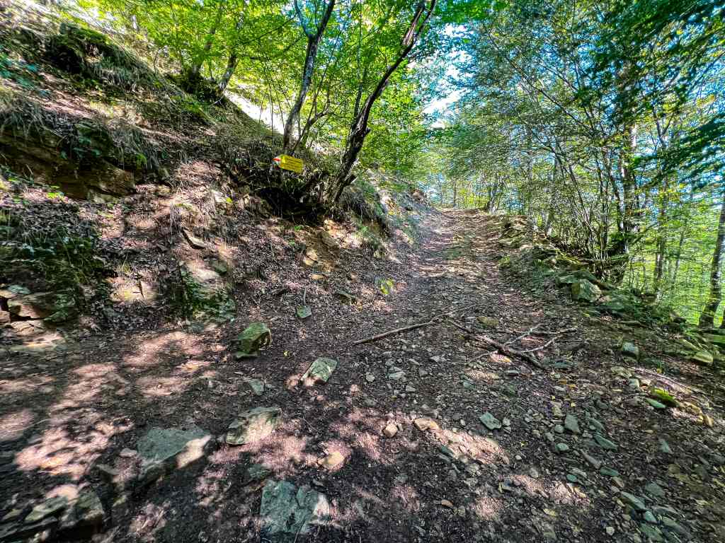 Пеша до панорамна площадка „Върхът“ край Могилица