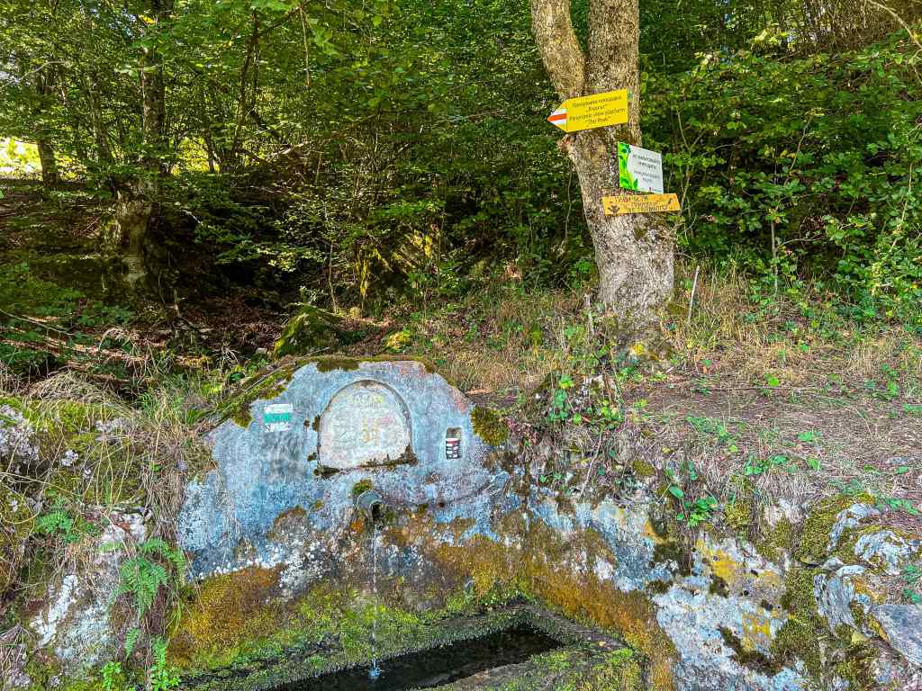 Пеша до панорамна площадка „Върхът“ край Могилица