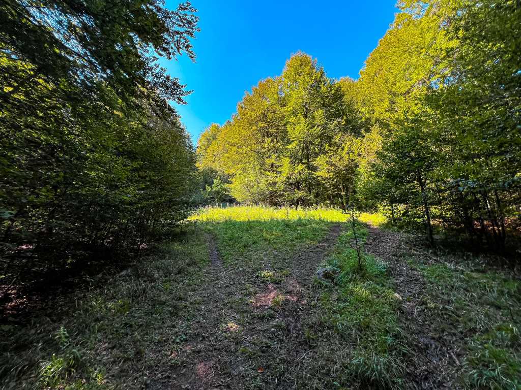 Пеша до панорамна площадка „Върхът“ край Могилица