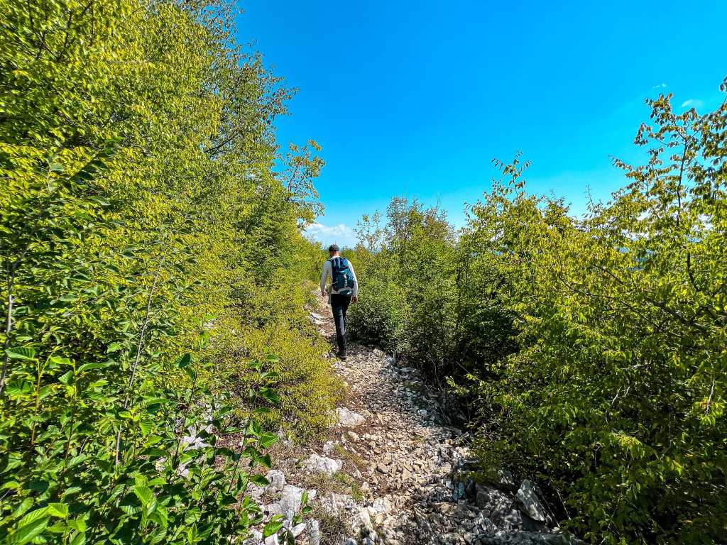 Пеша до панорамна площадка „Върхът“ край Могилица