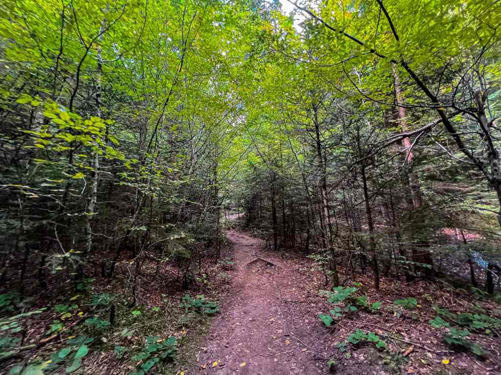 Каньонът на водопадите" край Смолян